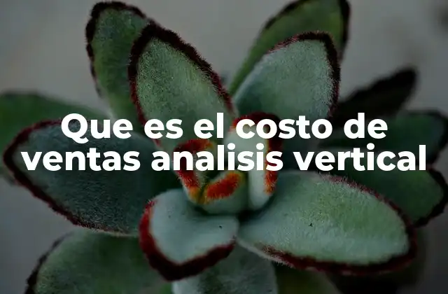 Que es el Costo de Ventas Analisis Vertical 2 El costo de ventas como indicador de salud financiera