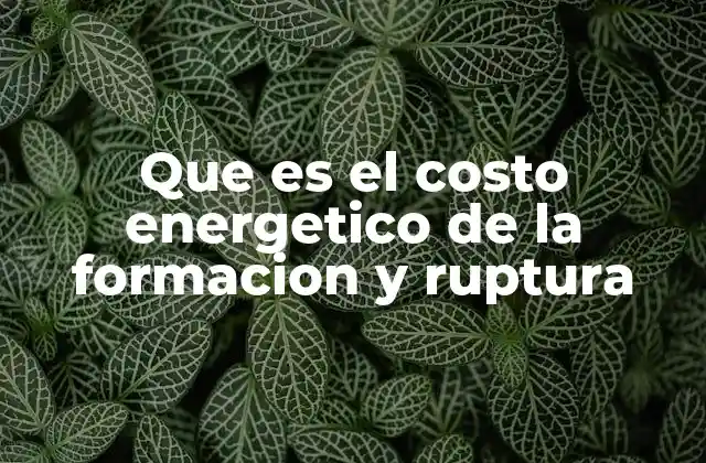 Que es el Costo Energetico de la Formacion y Ruptura