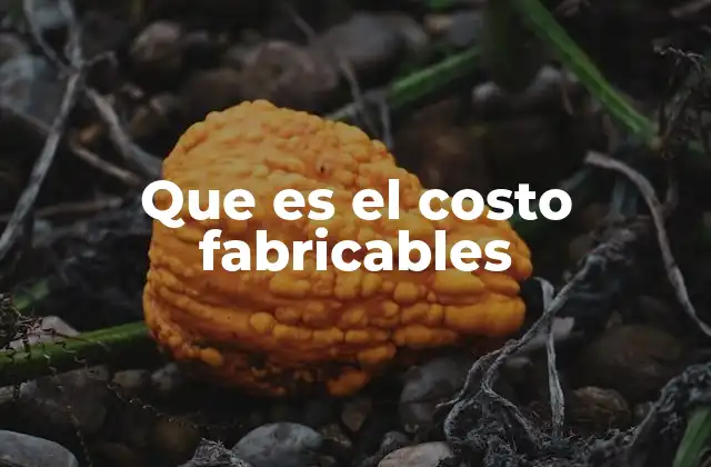 Que es el Costo Fabricables