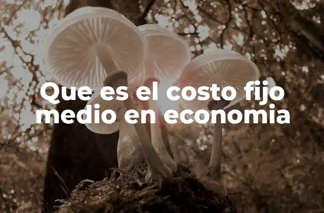 Que es el Costo Fijo Medio en Economia