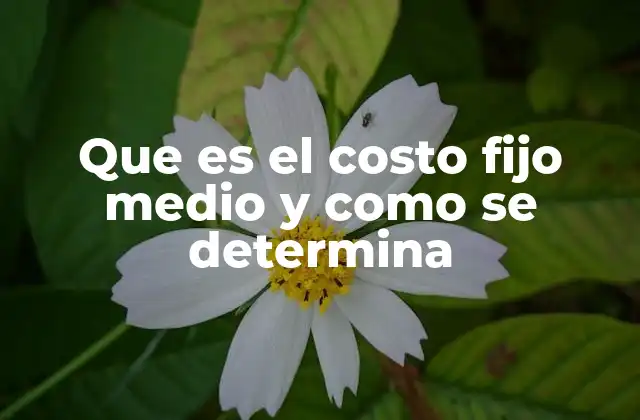 Que es el Costo Fijo Medio y como Se Determina