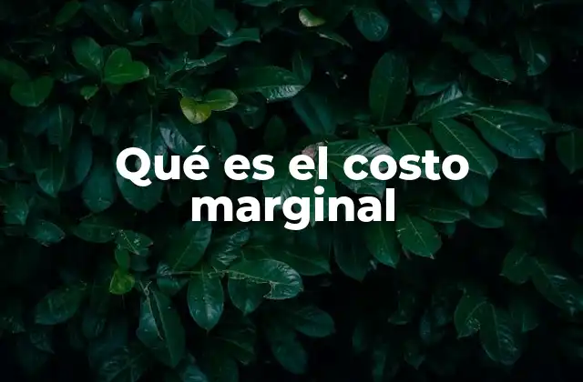 Qué es el Costo Marginal