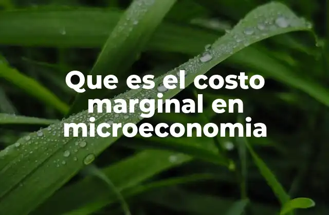 Que es el Costo Marginal en Microeconomia 2 El rol del costo marginal en la toma de decisiones empresariales