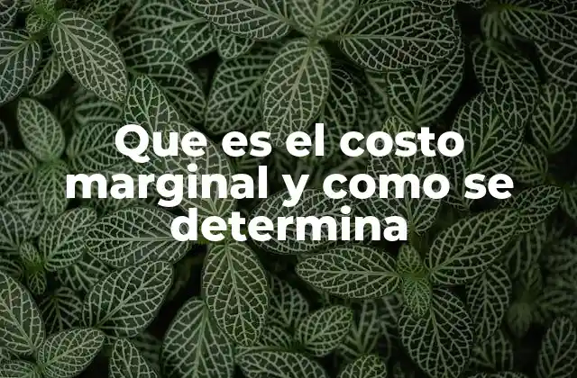 Que es el Costo Marginal y como Se Determina