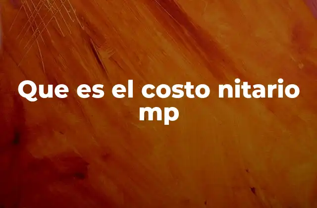 Factores que influyen en el costo nitario mp