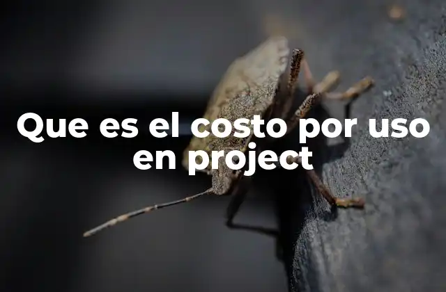 Que es el Costo por Uso en Project
