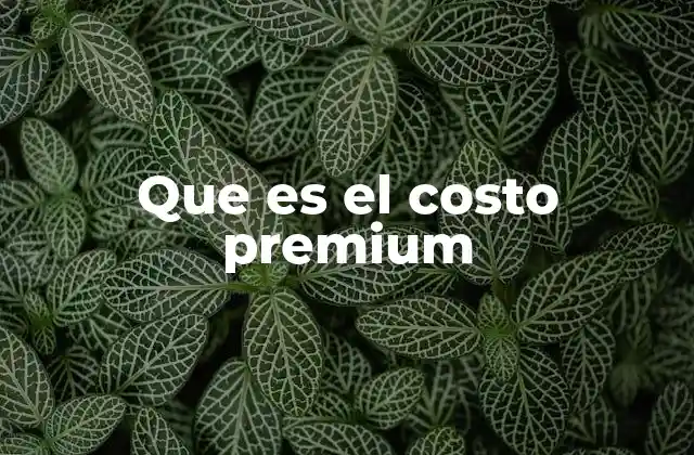 Que es el Costo Premium