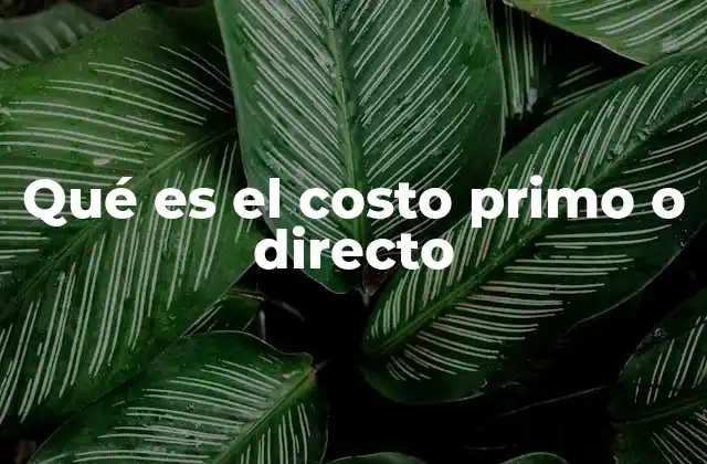 Qué es el Costo Primo o Directo