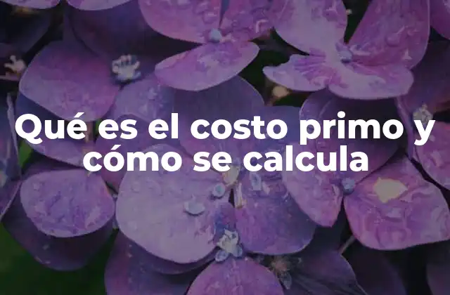 Qué es el Costo Primo y Cómo Se Calcula