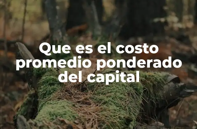 Que es el Costo Promedio Ponderado Del Capital