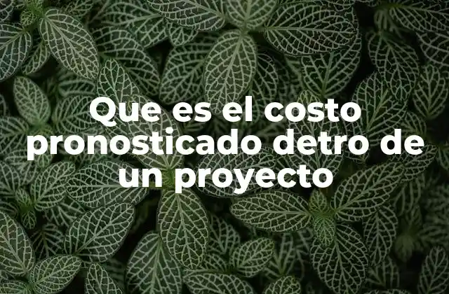 Que es el Costo Pronosticado Detro de un Proyecto