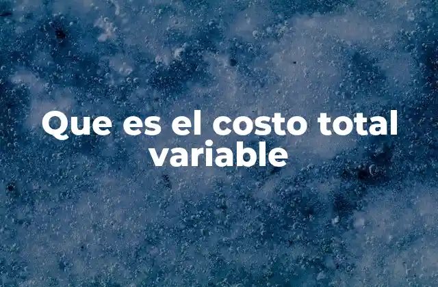 Que es el Costo Total Variable