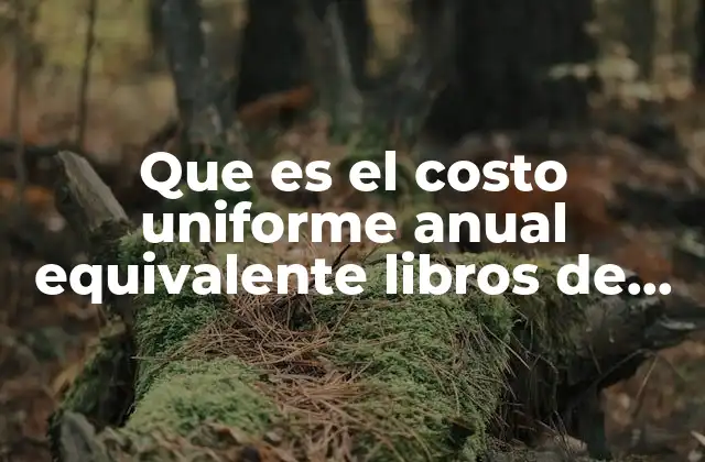Que es el Costo Uniforme Anual Equivalente Libros de Economia