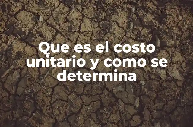 Que es el Costo Unitario y como Se Determina