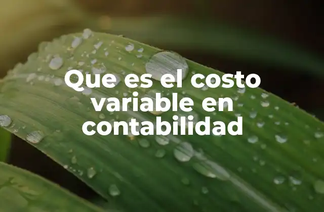 Que es el Costo Variable en Contabilidad