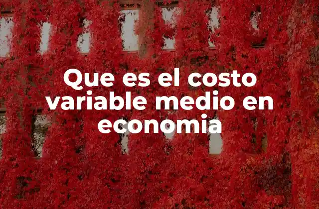 Que es el Costo Variable Medio en Economia