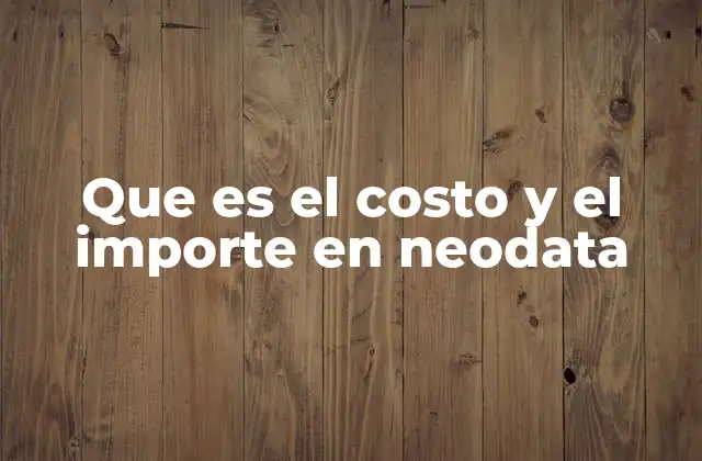 Diferencias entre costo e importe en Neodata