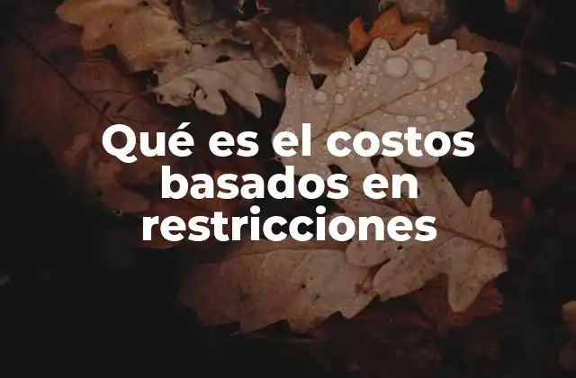 Qué es el Costos Basados en Restricciones 2 La importancia de identificar los cuellos de botella en la gestión de costos
