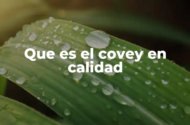 Que es el Covey en Calidad