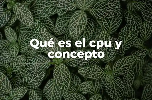 Qué es el Cpu y Concepto 2 El rol del procesador en la arquitectura de una computadora