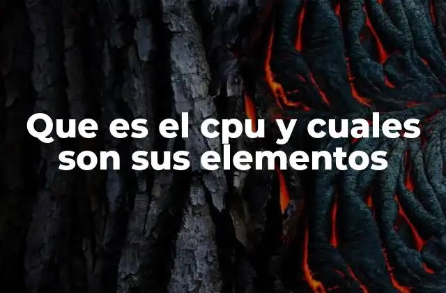 Que es el Cpu y Cuales Son Sus Elementos