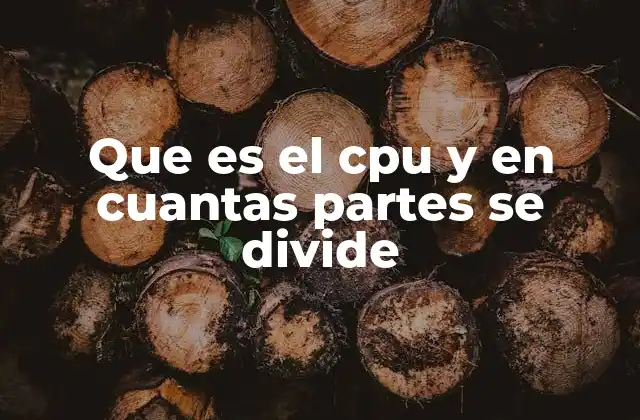 Que es el Cpu y en Cuantas Partes Se Divide