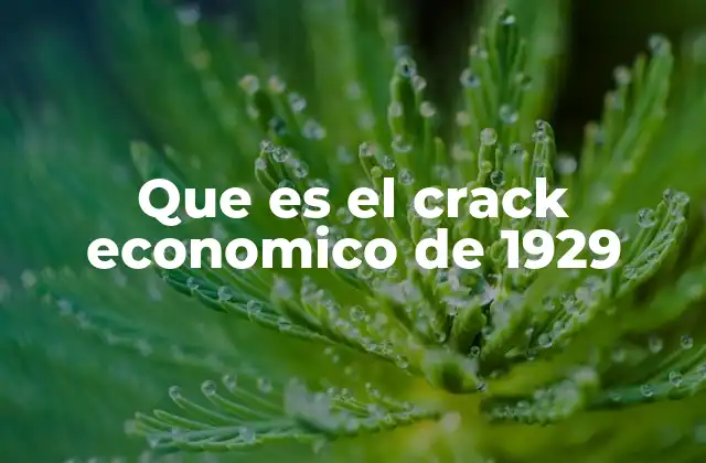 Que es el Crack Economico de 1929