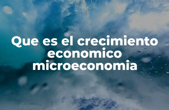 Que es el Crecimiento Economico Microeconomia