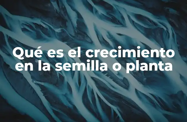Qué es el Crecimiento en la Semilla o Planta