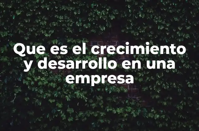 Que es el Crecimiento y Desarrollo en una Empresa