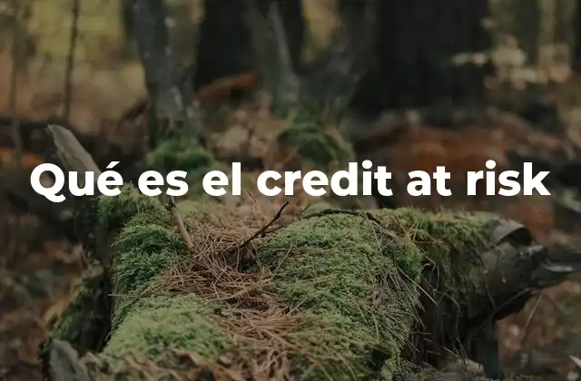 Qué es el Credit At Risk