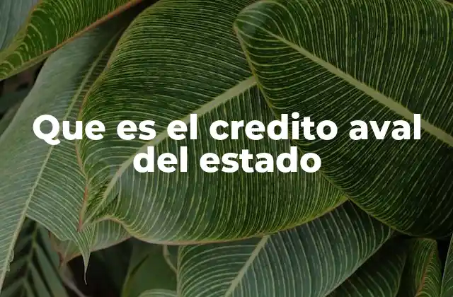 Que es el Credito Aval Del Estado