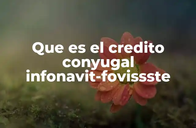 Que es el Credito Conyugal Infonavit-fovissste 2 Cómo funciona el crédito conyugal INFONAVIT-FOVISSSTE