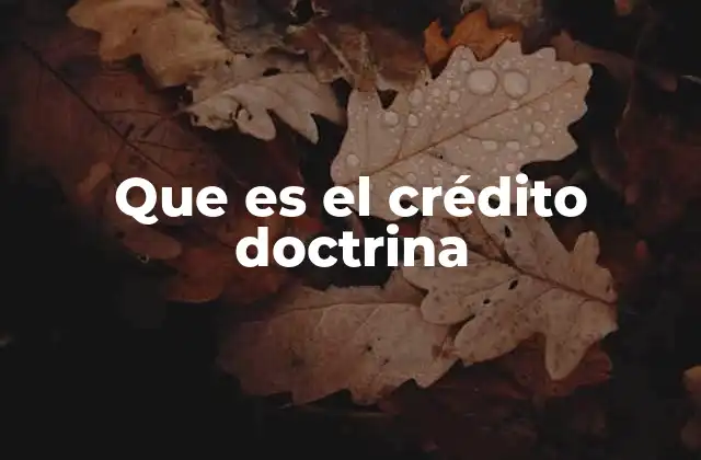 Que es el Crédito Doctrina