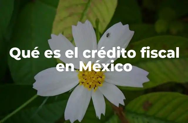 Qué es el Crédito Fiscal en México