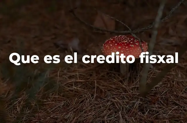 Que es el Credito Fisxal