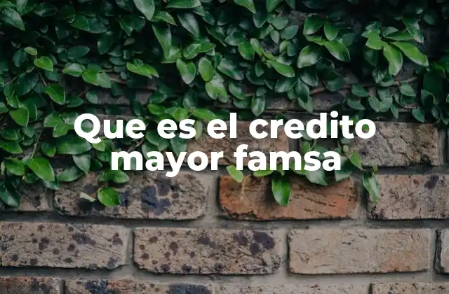 Que es el Credito Mayor Famsa