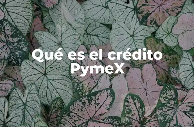 Qué es el Crédito Pymex