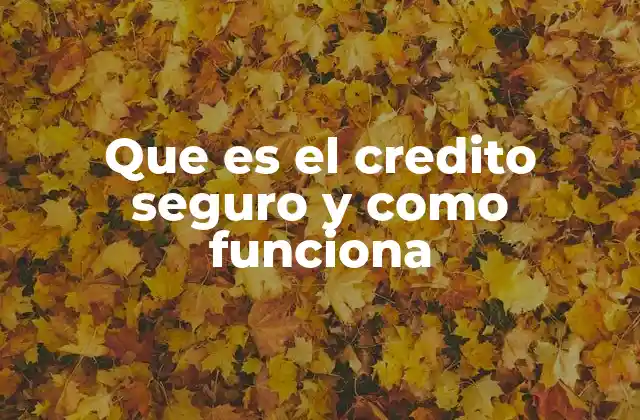 Ventajas y características de los créditos seguros