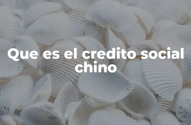Que es el Credito Social Chino