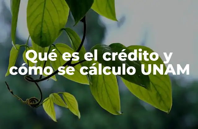 Qué es el Crédito y Cómo Se Cálculo Unam