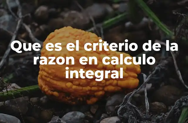 Que es el Criterio de la Razon en Calculo Integral