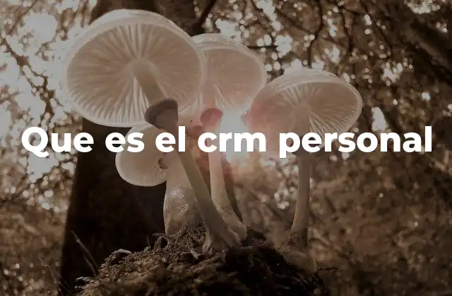 Que es el Crm Personal