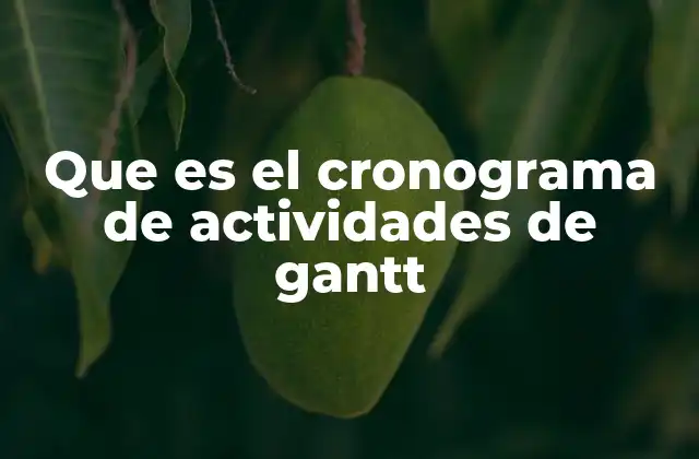Que es el Cronograma de Actividades de Gantt 2 La importancia del cronograma en la planificación de proyectos