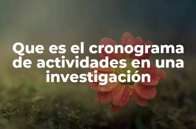 Que es el Cronograma de Actividades en una Investigación