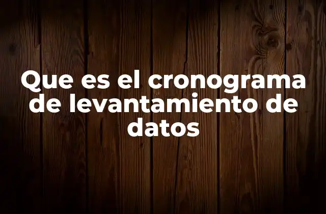 Que es el Cronograma de Levantamiento de Datos