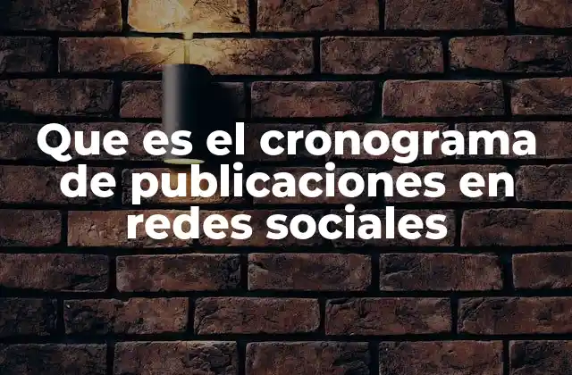 Que es el Cronograma de Publicaciones en Redes Sociales