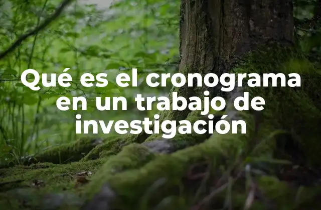 Qué es el Cronograma en un Trabajo de Investigación