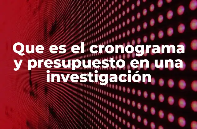 Que es el Cronograma y Presupuesto en una Investigación