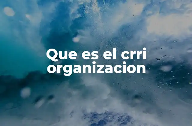 Que es el Crri Organizacion